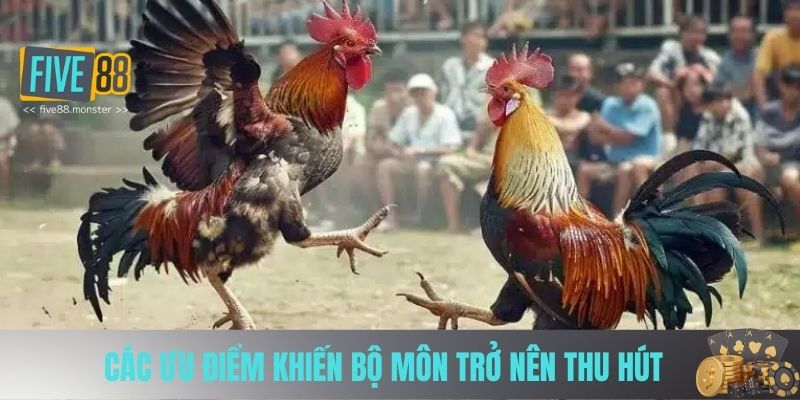 Các ưu điểm khiến bộ môn trở nên thu hút