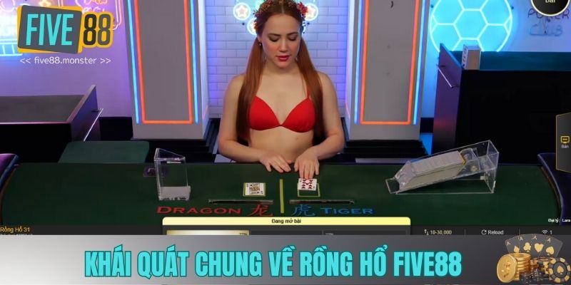 Khái quát chung về rồng hổ five88